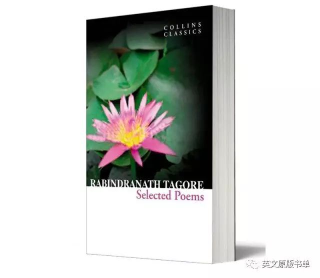 《飞鸟集》